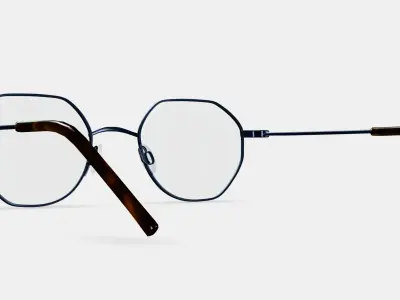 Dupree Eyeglasses in Brushed Ink 3D model