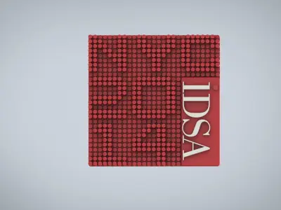 iDSA Lapel Pin - Concept 1 Free 3D model