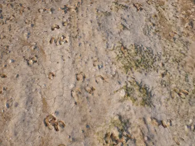 Dirt Road 3D Scan Low-poly 3D model