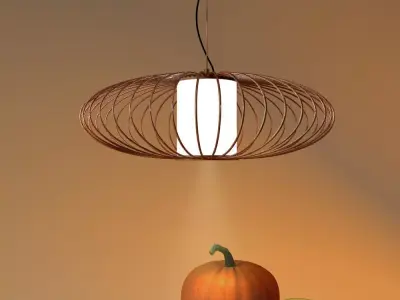 Hanging lamp Cage 3D model