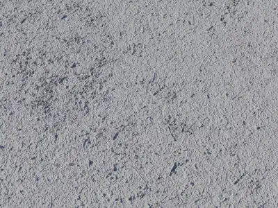 Jacaranda Leaf Litter Soil Ground PBR Texture  Texture