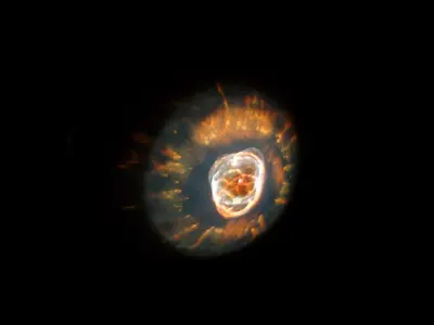 Eskimo Nebula 3D model