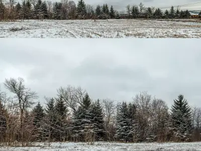 Panorama with snow-covered trees and a field - 30k 3D model