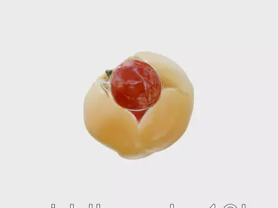 Street Food Hot Dog Model Pack Low-poly 3D model