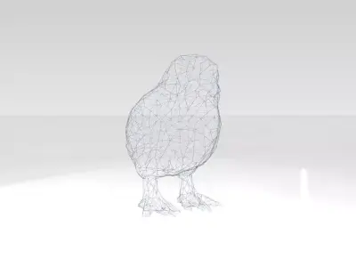 Chick Wireframe 3D model