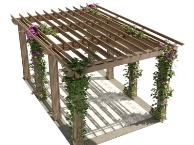 Pergola design plans 3D model