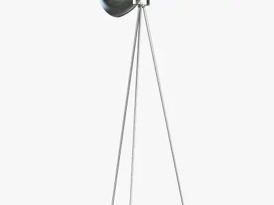 Arte lamp Studio A8606PN-1CC 3D model