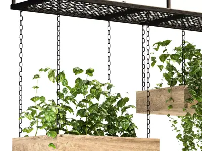 Hanging Plant 03 3D model