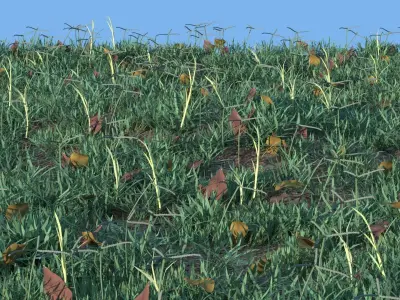 Wild grass objects for particle system 3D model