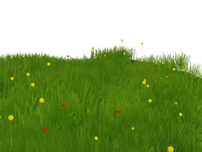 grass grassy field with flowers Low-poly 3D model