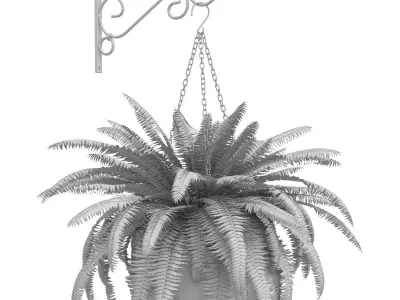 Hanging basket flowerpot rattan pot with flowers Fern 3D model