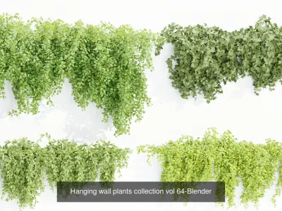 Hanging wall creeper plants collection-Blender-001 3D Model Pack