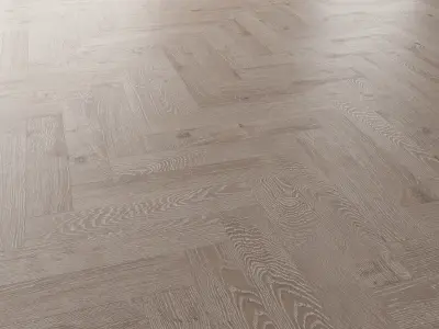  Parquet Oak Nordic NEW WWL set 4 3D model