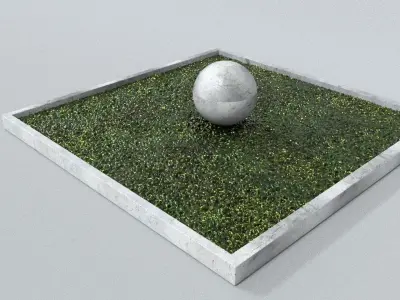 laos Grass Floor Low-poly 3D model