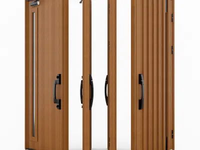 YKK AP Venato D30 N06T Japanese Entrance Door 3D model