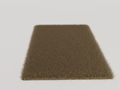 Brown Shag Rug 3D model