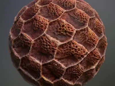 Material Skin Alien 29 Seamless PBR Texture Texture