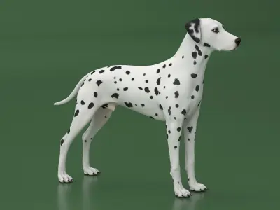  Dalmatian Dog Animated Rigged for Cinema 4D 