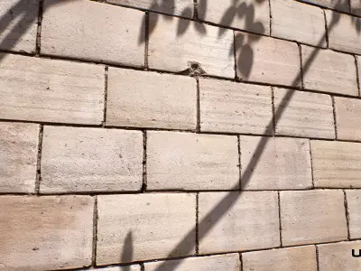 Bricks 17 - Scanned Materials Texture Texture