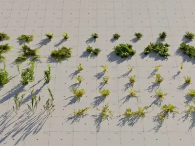  Moss 7 Species and Stones - PBR Asset Kit 