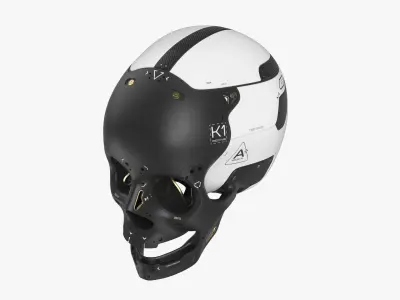 Artificial Skull 3D model