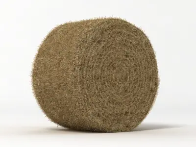 Hay Bale 2 3D model