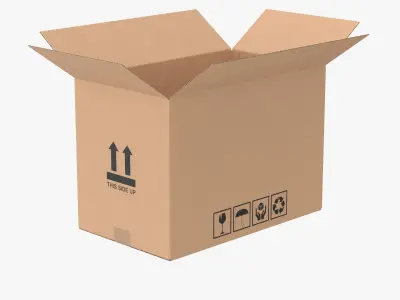  Cardboard Box Half Open Bundle 