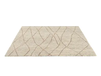 BHANDARA JUTE RUG 3D model