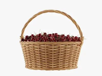  Baskets And Containers With Berries 