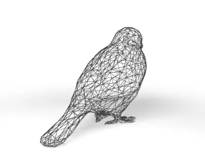 Sparrow Wireframe Low-poly 3D model