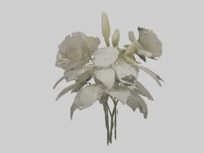 Moonflower model 3D model
