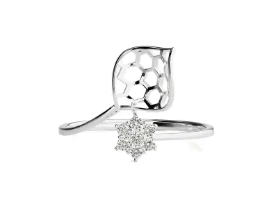 Ring - 51 3D print model