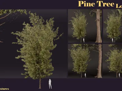 SJ-lowpoly pine tree set 01 Low-poly 3D model