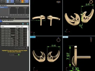 Women Earrings 3D print model