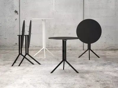 Poule Round 3D model