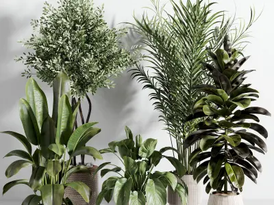  indoor plant 572 3D model