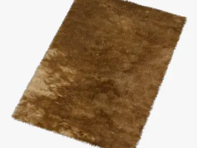 Carpet Rainbow Gold 3D model