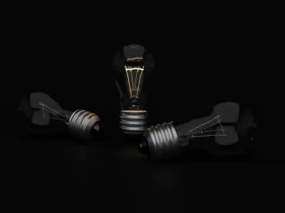 Light Bulb 3D model 16