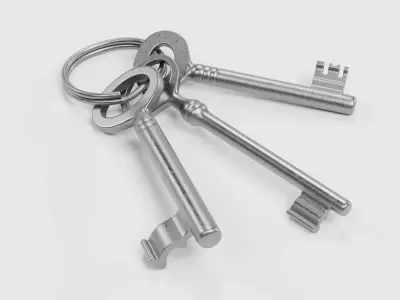 Set of New Keys - 3 Unique Skeleton Keys on Keychain Ring 3D model