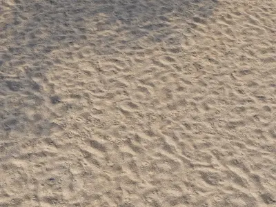 Sand on the shore 3D model