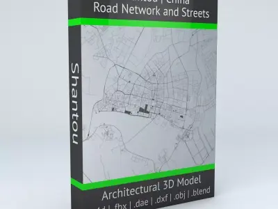 Shantou Road Network and Streets 3D model