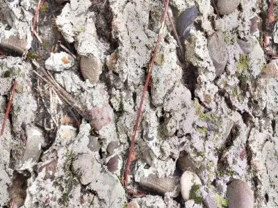 Rock light texture Texture