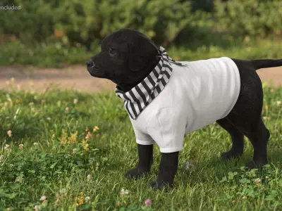  Disney Family Look Clothing Set with Dog Outfit 