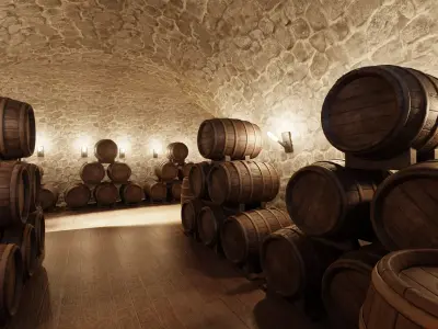 Wine Cellar V3 - Stone Vault with Wooden Barrel Storage 3D model