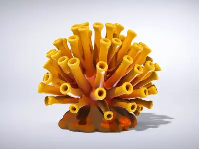 Golden Yellow Tubastraea Coral Model Low-poly 3D model