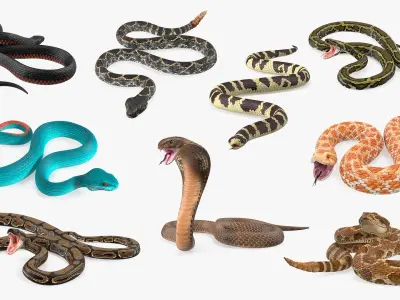  Snakes Big Rigged Collection for Maya 