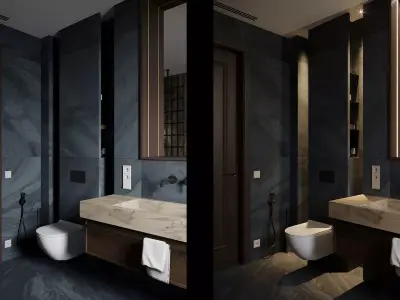 3D Interior Designed Scene of BATHROOM for two person 3D model