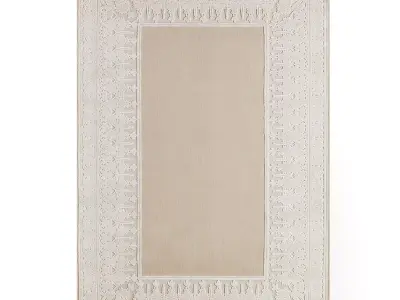 Amber Border rug by Signature 3D model