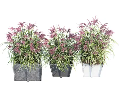 Trinway two 3D model