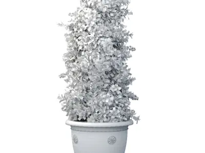 Decorative tall evergreen flowering garden tree bush classic pot 3D model